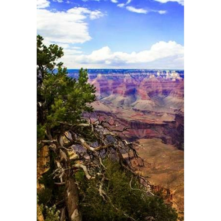 The Canyon Rim II Poster Print by Alan Hausenflock-VARPDXPSHSF1476 Image 2