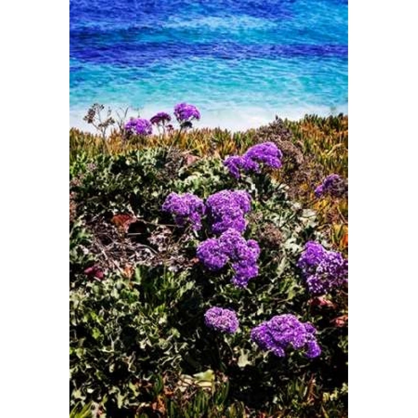 La Jolla Beach I Poster Print by Alan Hausenflock-VARPDXPSHSF1524 Image 1