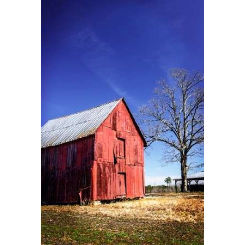 Old Tobacco Barn III Poster Print by Alan Hausenflock-VARPDXPSHSF1610 Image 2