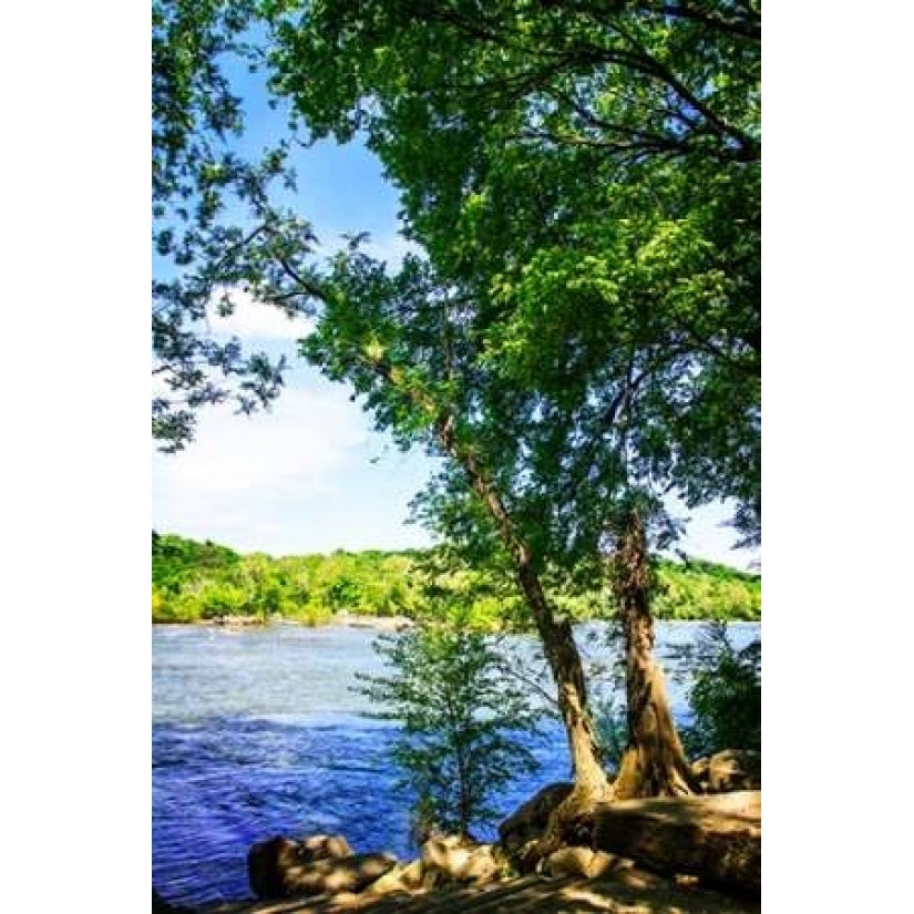 Spring On The River III Poster Print by Alan Hausenflock-VARPDXPSHSF1879 Image 2