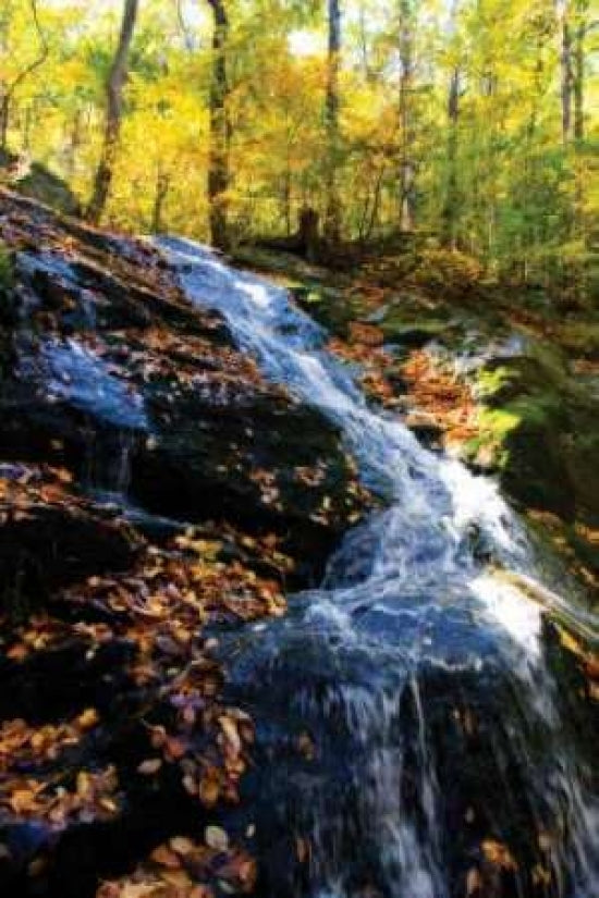 Autumn Waterfall I Poster Print by Alan Hausenflock-VARPDXPSHSF214 Image 1