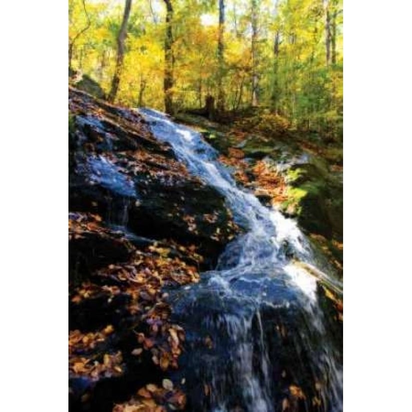 Autumn Waterfall I Poster Print by Alan Hausenflock-VARPDXPSHSF214 Image 2