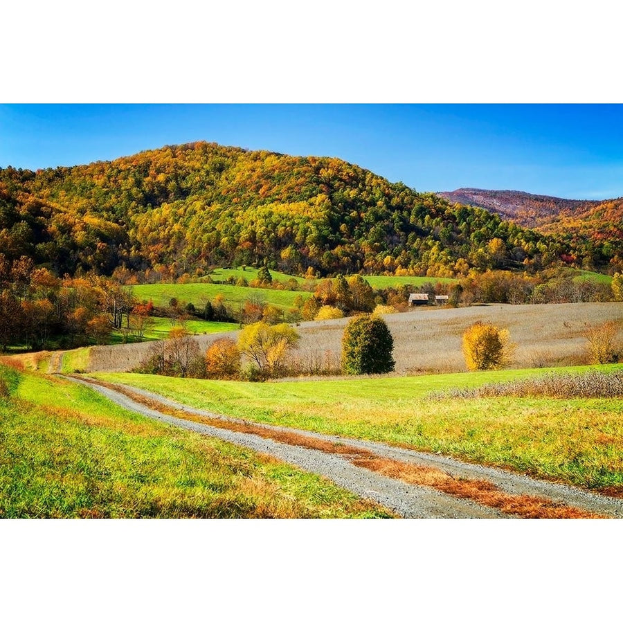 Autumn Hills Farm Poster Print by Alan Hausenflock-VARPDXPSHSF2302 Image 1