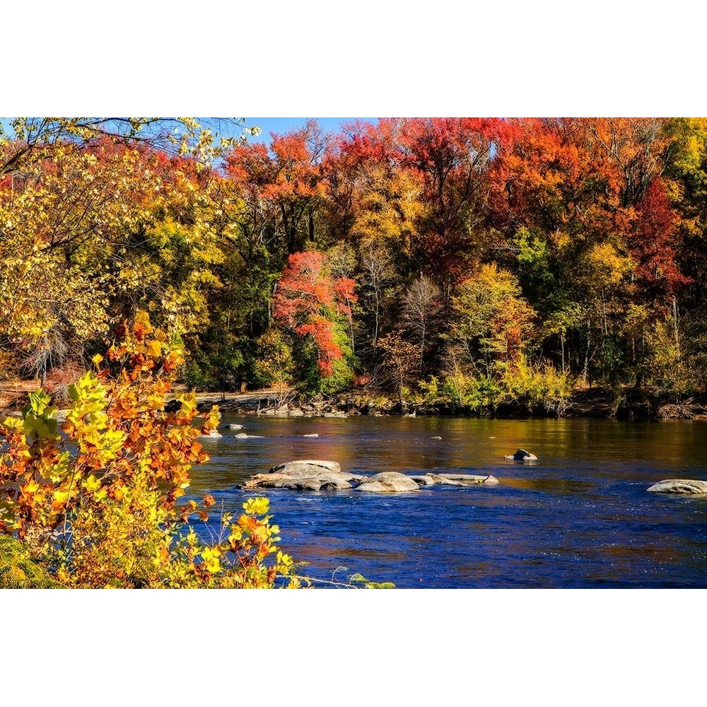 Autumn by the River I Poster Print by Alan Hausenflock-VARPDXPSHSF2304 Image 1