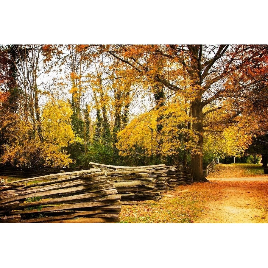 Late Fall Day I Poster Print by Alan Hausenflock-VARPDXPSHSF2308 Image 1