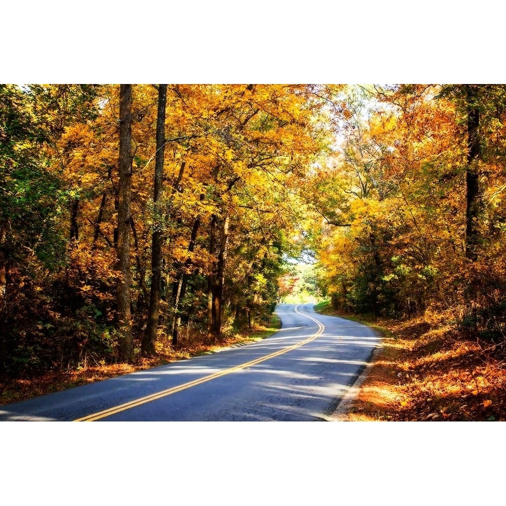 Walnut Grove Road I Poster Print by Alan Hausenflock-VARPDXPSHSF2312 Image 1