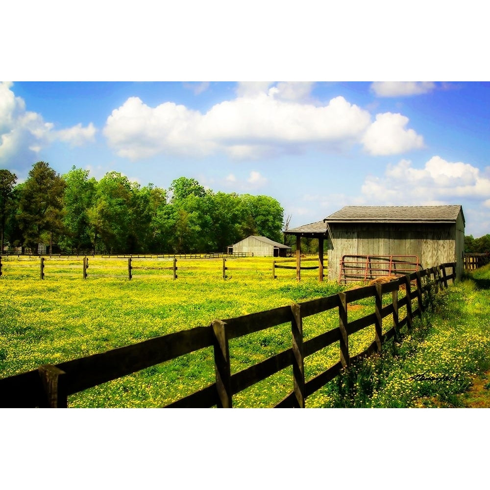 Spring on the Ranch Poster Print by Alan Hausenflock-VARPDXPSHSF2384 Image 1