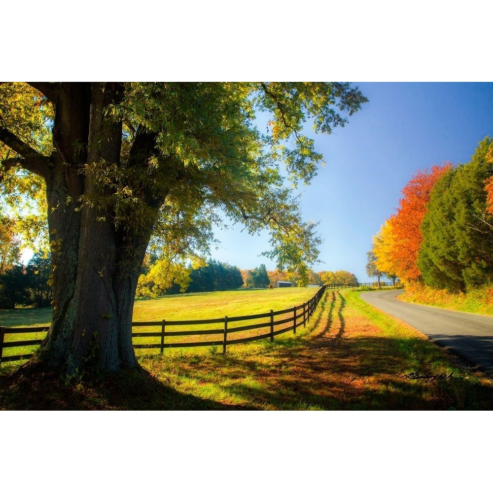 A Virginia Byway Poster Print by Alan Hausenflock-VARPDXPSHSF2388 Image 1