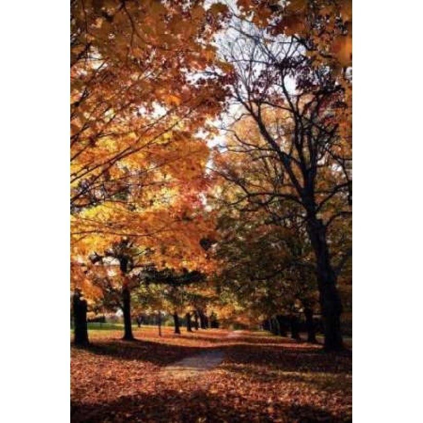 Maymont Maples III Poster Print by Alan Hausenflock-VARPDXPSHSF261 Image 1