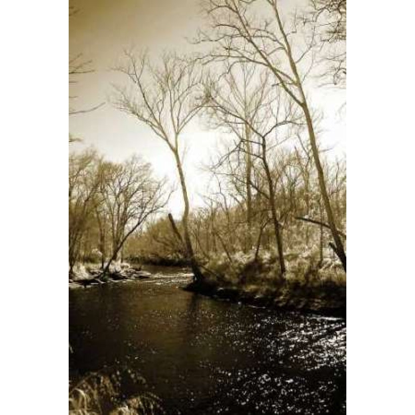 Winter on the Neuse River Poster Print by Alan Hausenflock-VARPDXPSHSF514 Image 2