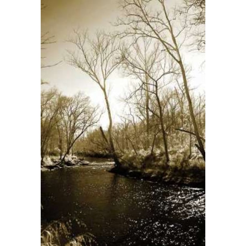 Winter on the Neuse River Poster Print by Alan Hausenflock-VARPDXPSHSF514 Image 1