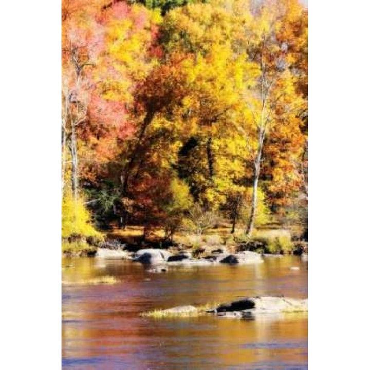 Autumn on the River II Poster Print by Alan Hausenflock-VARPDXPSHSF573 Image 1