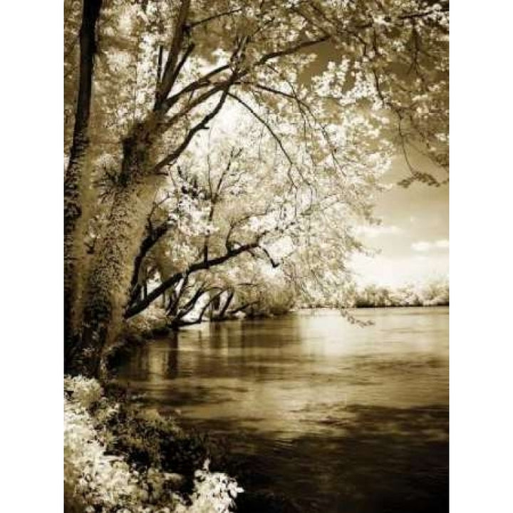 Spring on the River I Poster Print by Alan Hausenflock-VARPDXPSHSF649 Image 2