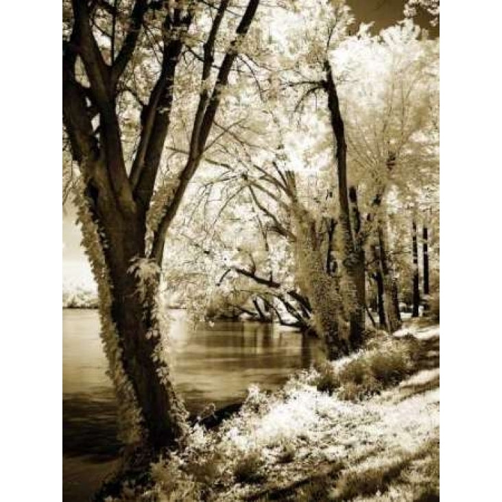 Spring on the River II Poster Print by Alan Hausenflock-VARPDXPSHSF650 Image 1