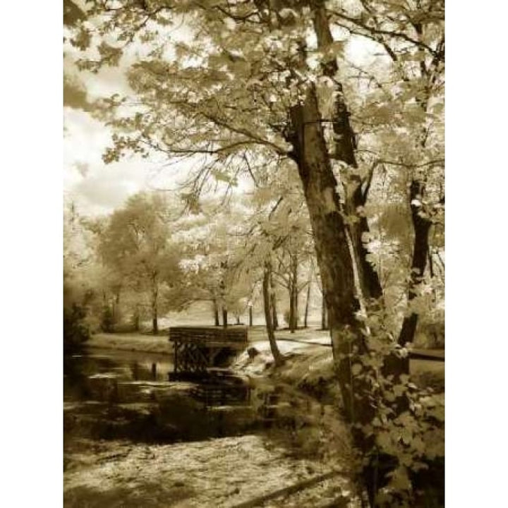 Mint Springs Lake I Poster Print by Alan Hausenflock-VARPDXPSHSF766 Image 2