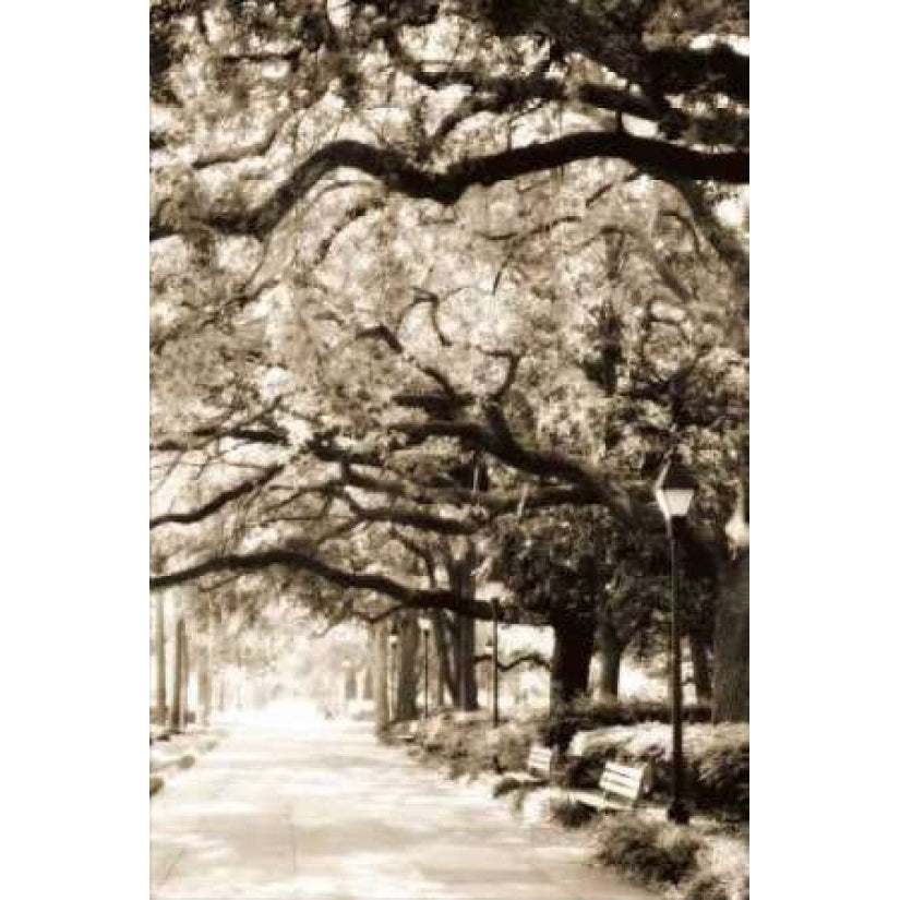 Savannah Sidewalk I Poster Print by Alan Hausenflock-VARPDXPSHSF804 Image 1