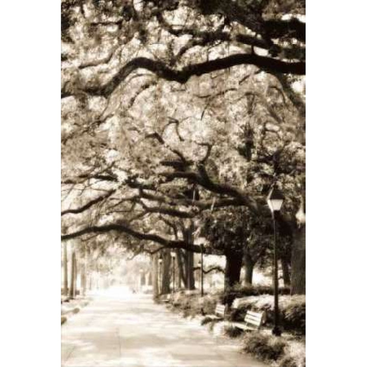 Savannah Sidewalk I Poster Print by Alan Hausenflock-VARPDXPSHSF804 Image 2