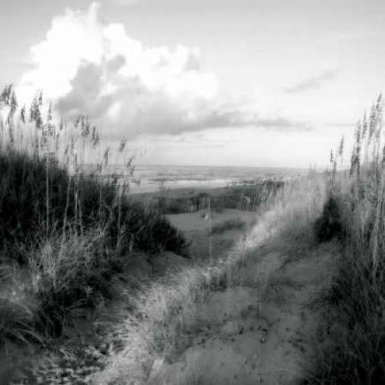 Dunes I Sq. BW Poster Print by Alan Hausenflock-VARPDXPSHSF996 Image 1