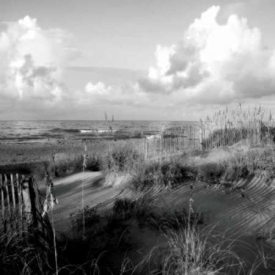 Dunes II Sq. BW Poster Print by Alan Hausenflock-VARPDXPSHSF997 Image 1