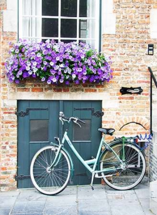 Brugge Door and Bicycle Poster Print by George Johnson-VARPDXPSJSN235 Image 1