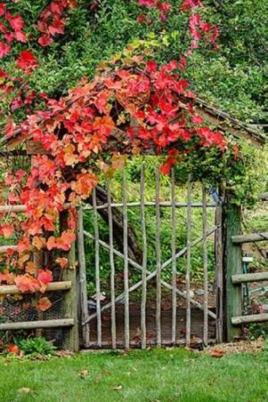 The Garden Gate Poster Print by George Johnson-VARPDXPSJSN234 Image 1