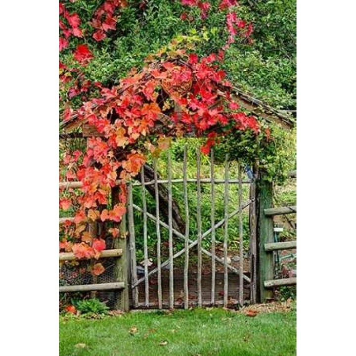 The Garden Gate Poster Print by George Johnson-VARPDXPSJSN234 Image 2