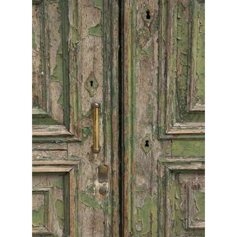 Venice Green Door Poster Print by George Johnson-VARPDXPSJSN277 Image 1