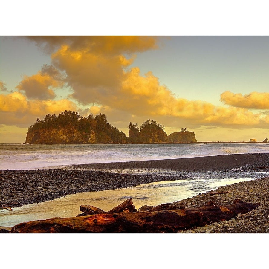 La Push Sea Stacks Poster Print by George Johnson-VARPDXPSJSN318 Image 1