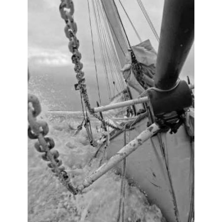 Life at Sea II Poster Print by Brian Kidd-VARPDXPSKID130 Image 2