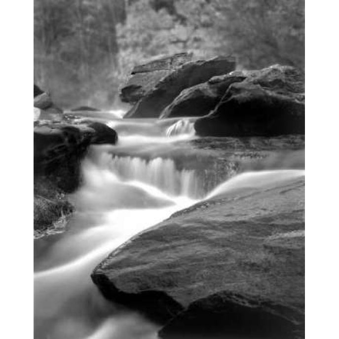 Moving Water IV Poster Print by Scott Larson-VARPDXPSLAR206 Image 2