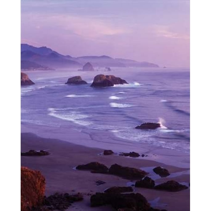 Ecola State Park I Poster Print by Ike Leahy-VARPDXPSLHY122 Image 2