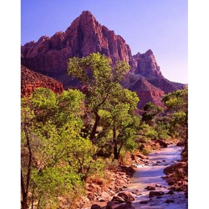 Zion National Park I Poster Print by Ike Leahy-VARPDXPSLHY126 Image 1