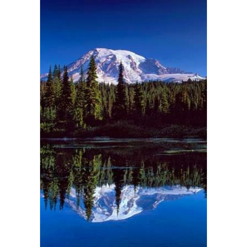 Mt. Rainier III Poster Print by Ike Leahy-VARPDXPSLHY179 Image 1