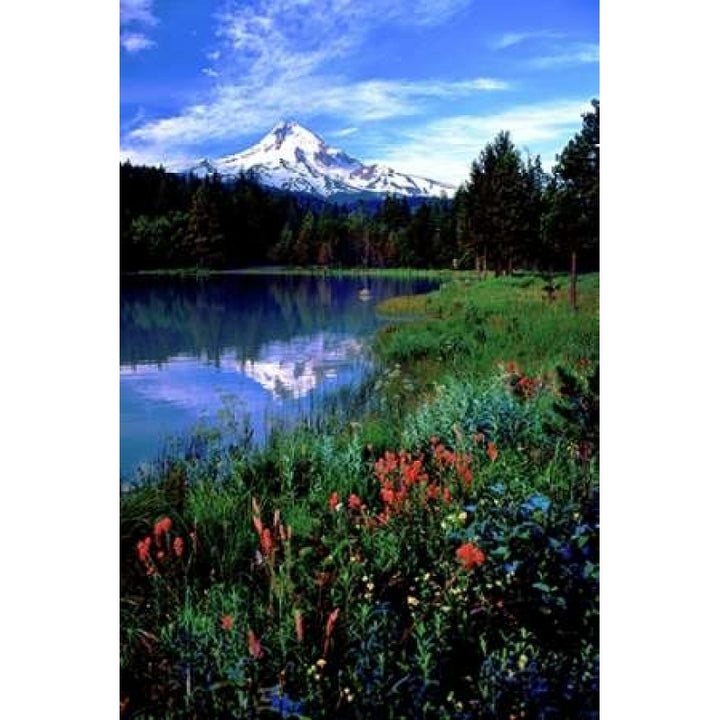 Mt. Hood III Poster Print by Ike Leahy-VARPDXPSLHY171 Image 2