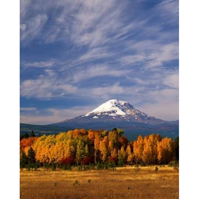 Mt. Adams IV Poster Print by Ike Leahy-VARPDXPSLHY197 Image 1