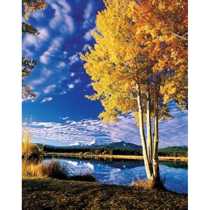 Sisters in Autumn II Poster Print by Ike Leahy-VARPDXPSLHY237 Image 2