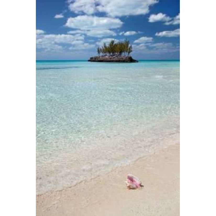 Gaulding Cay Conch Poster Print by Larry Malvin-VARPDXPSMAL104 Image 1