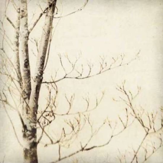 Winter Trees I Poster Print by Amy Melious-VARPDXPSMEL102 Image 2