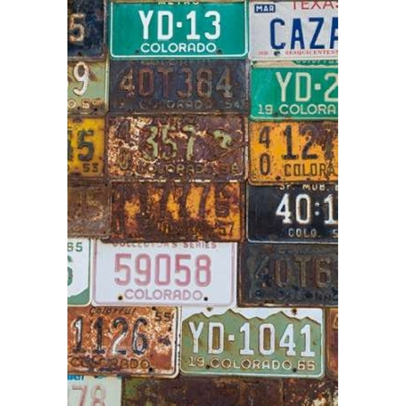 License Plates II Poster Print by Kathy Mahan-VARPDXPSMHN278 Image 2