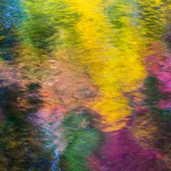 Colorful Reflections IV Poster Print by Kathy Mahan-VARPDXPSMHN545 Image 2