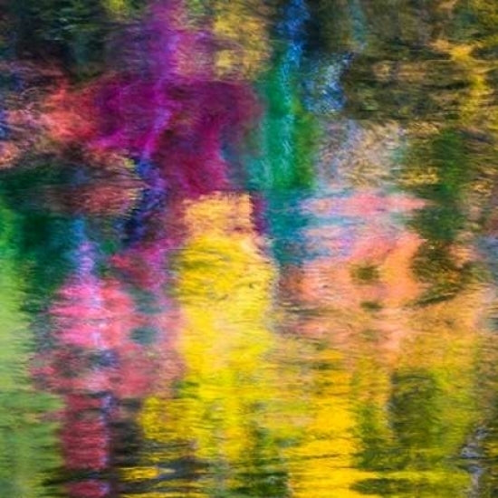 Colorful Reflections III Poster Print by Kathy Mahan-VARPDXPSMHN544 Image 2