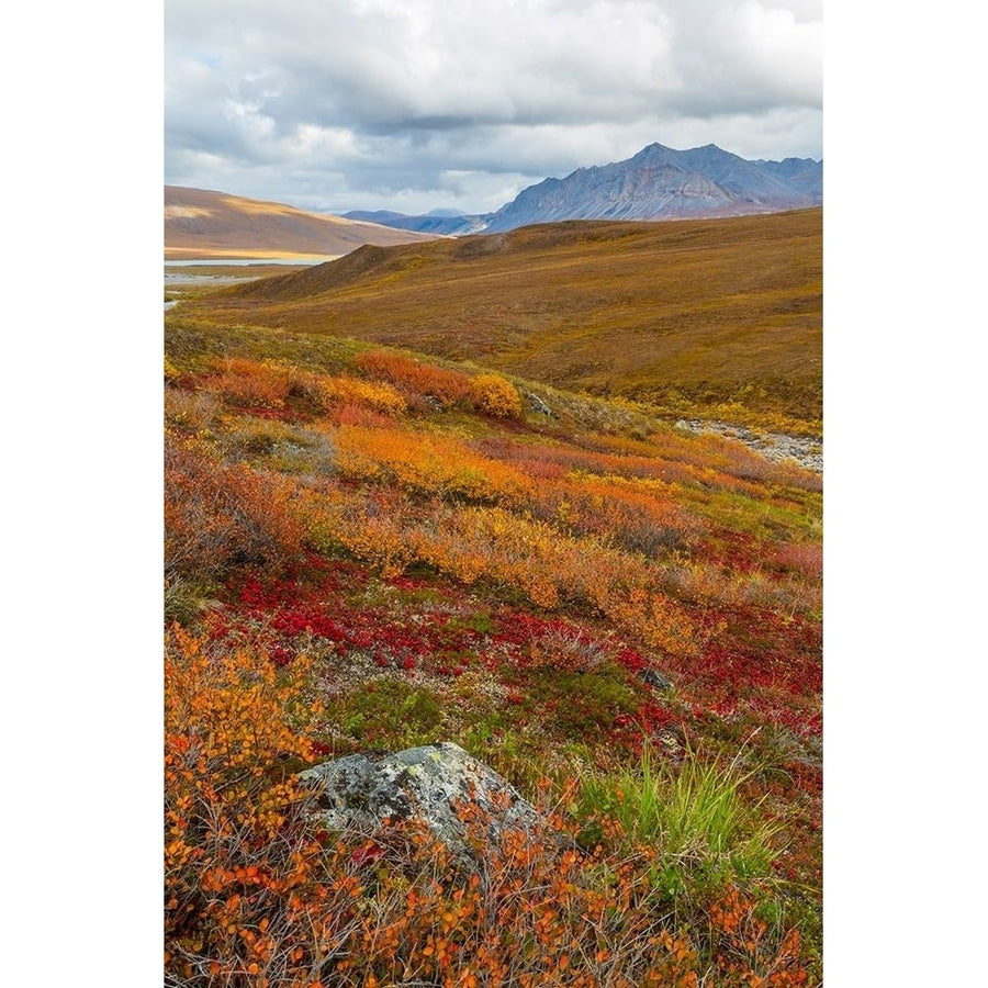 Arctic National Preserve II Poster Print by Kathy Mahan-VARPDXPSMHN755 Image 1