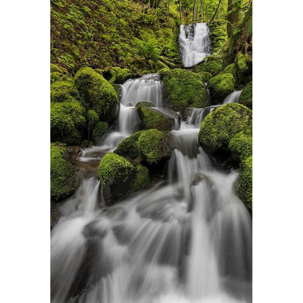 Waterfall I Poster Print by Kathy Mahan-VARPDXPSMHN837 Image 1