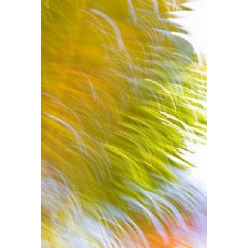 In Motion I Poster Print by Karyn Millet-VARPDXPSMLT422 Image 1