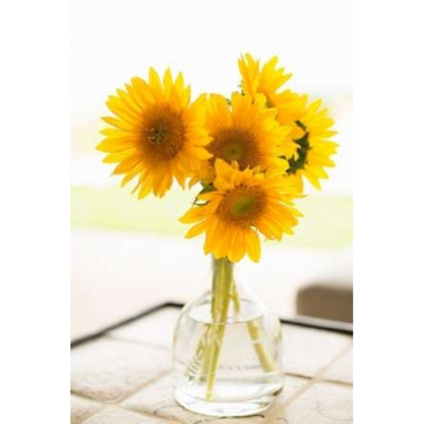 Sunflowers in Small Vase Poster Print by Karyn Millet-VARPDXPSMLT450 Image 1