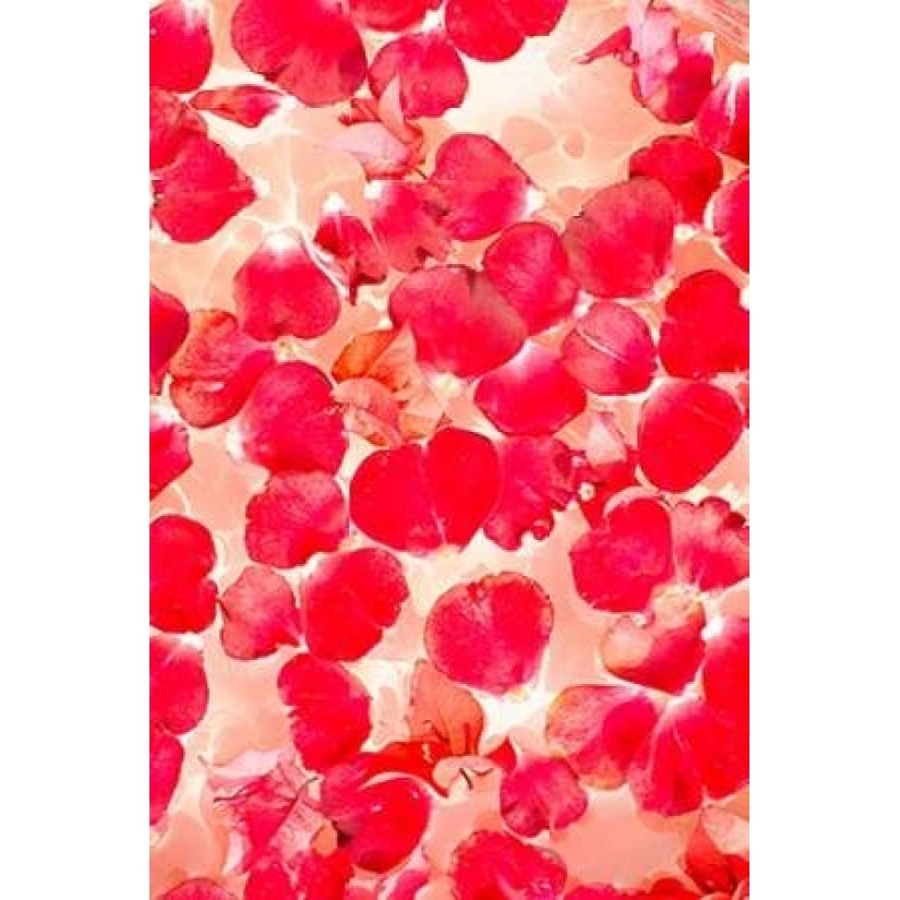 Pink Petals Abstract Poster Print by Karyn Millet-VARPDXPSMLT457 Image 1