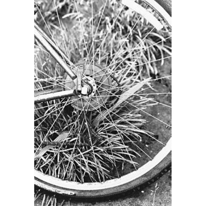 Bike Spoke Poster Print by Karyn Millet-VARPDXPSMLT685 Image 1