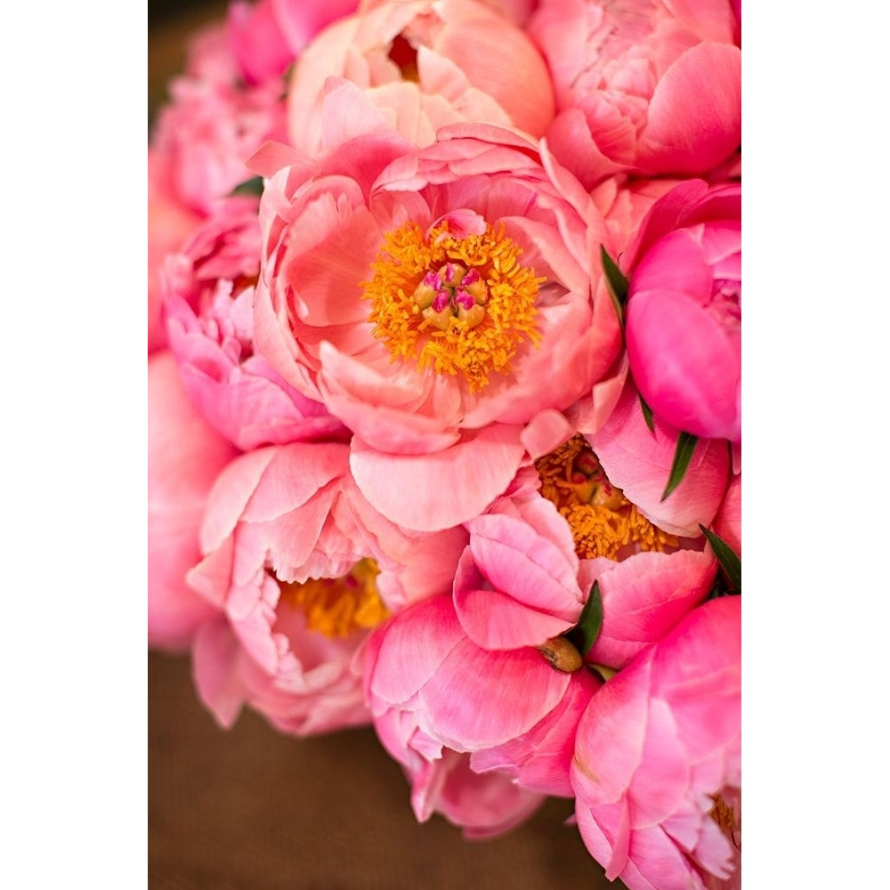 Variations Of Pink Bouquet Poster Print by Karyn Millet-VARPDXPSMLT802 Image 1