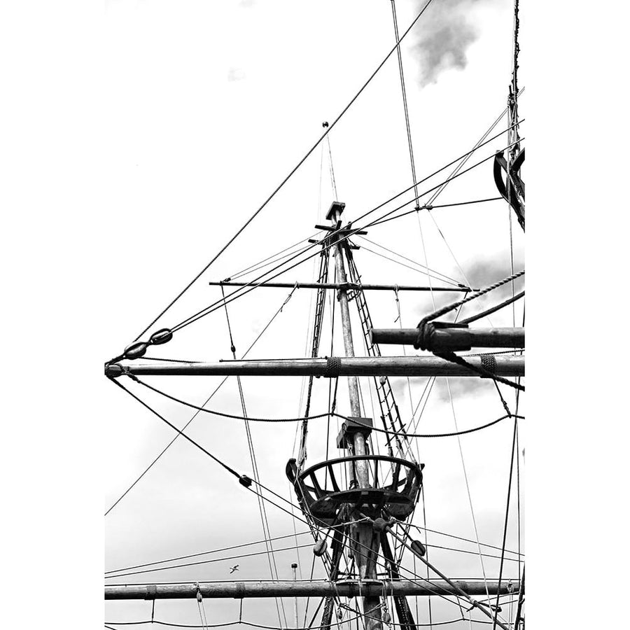 Sail Lines and Angles BandW Poster Print by Karyn Millet-VARPDXPSMLT823 Image 1