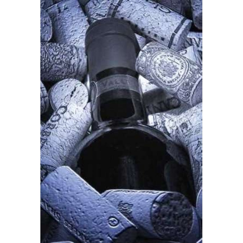 Buried Wine Bottle Poster Print by C. Thomas McNemar-VARPDXPSMNR122 Image 1